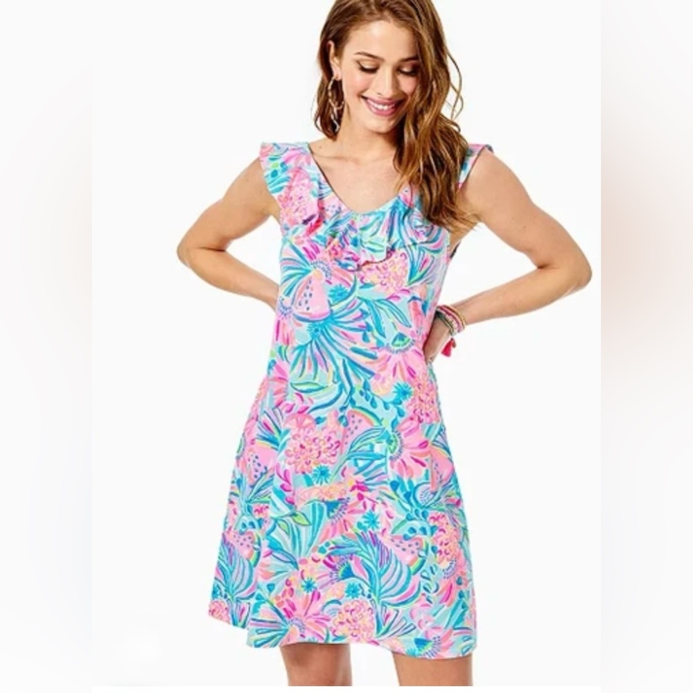 Lilly Pulitzer alessa ruffle dress